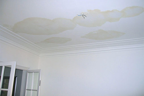 roof-img